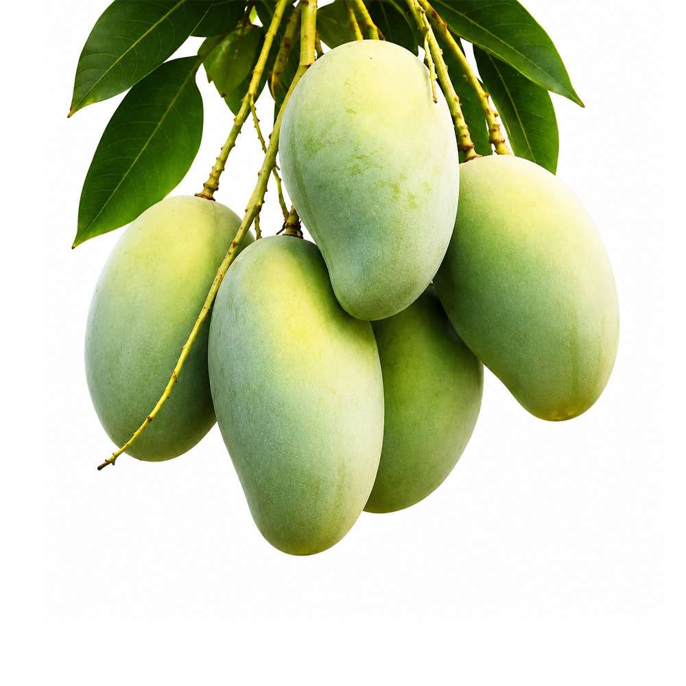 Amrapali Mango 5 kg
